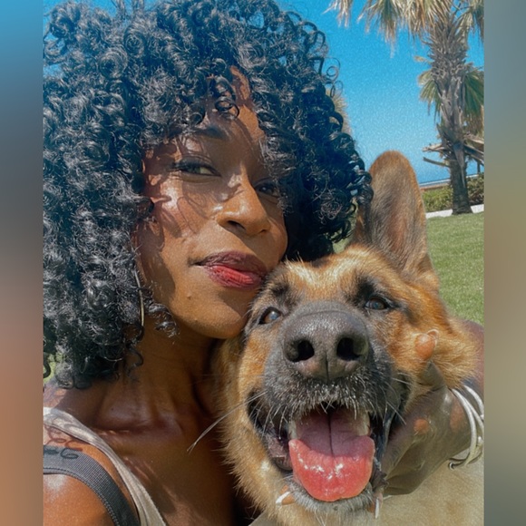 Meet your Posher, Posh - Picture 1 of 1